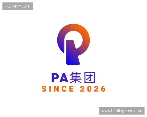 发现PA集团